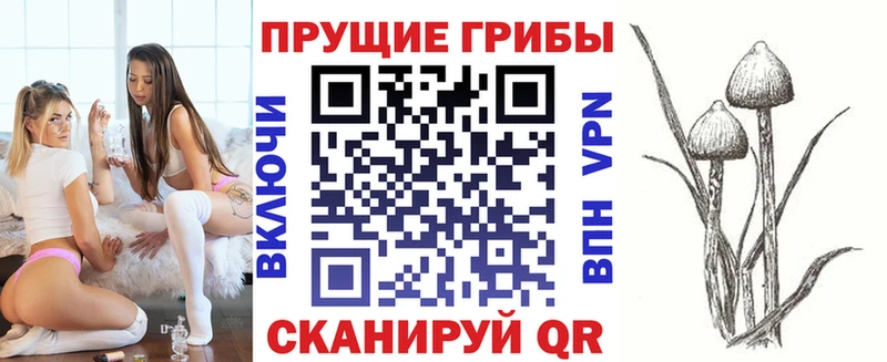 Псилоцибиновые грибы ЛСД  Краснослободск 